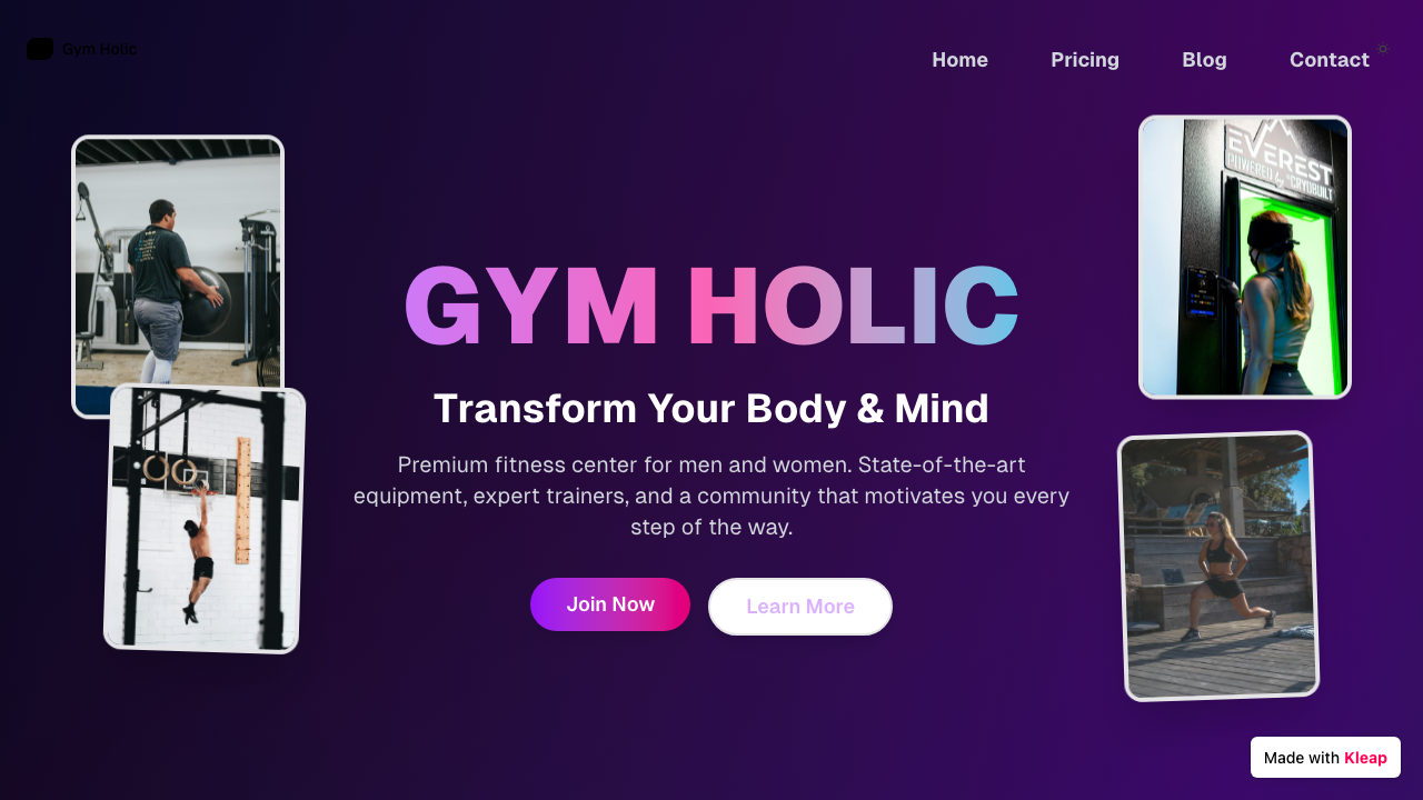 Gym Holic website example