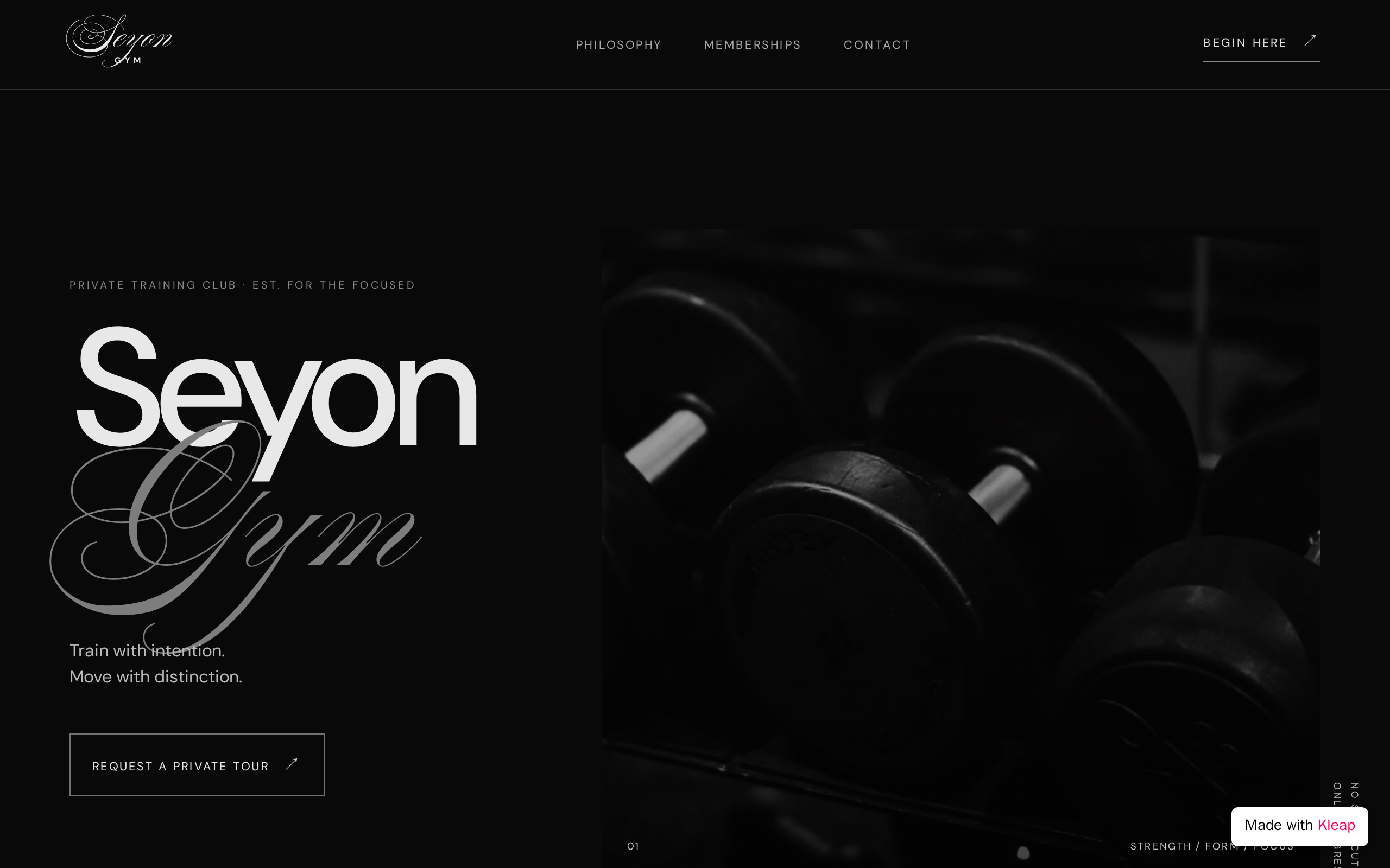 Seyon Fitness website example