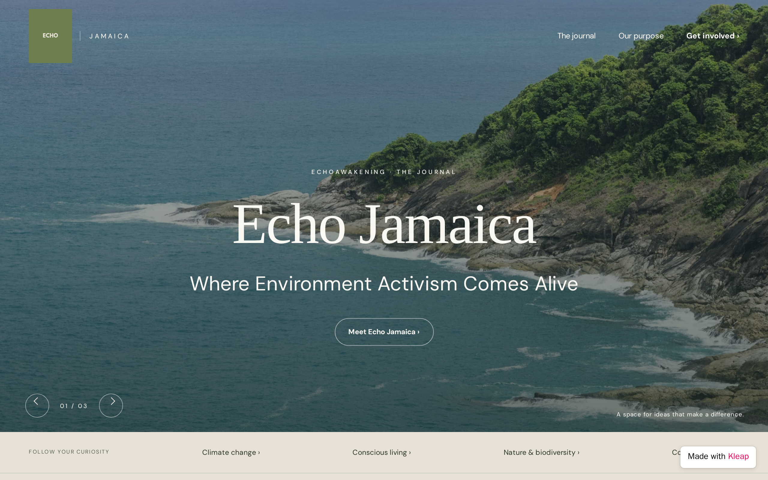 EchoAwakening website example