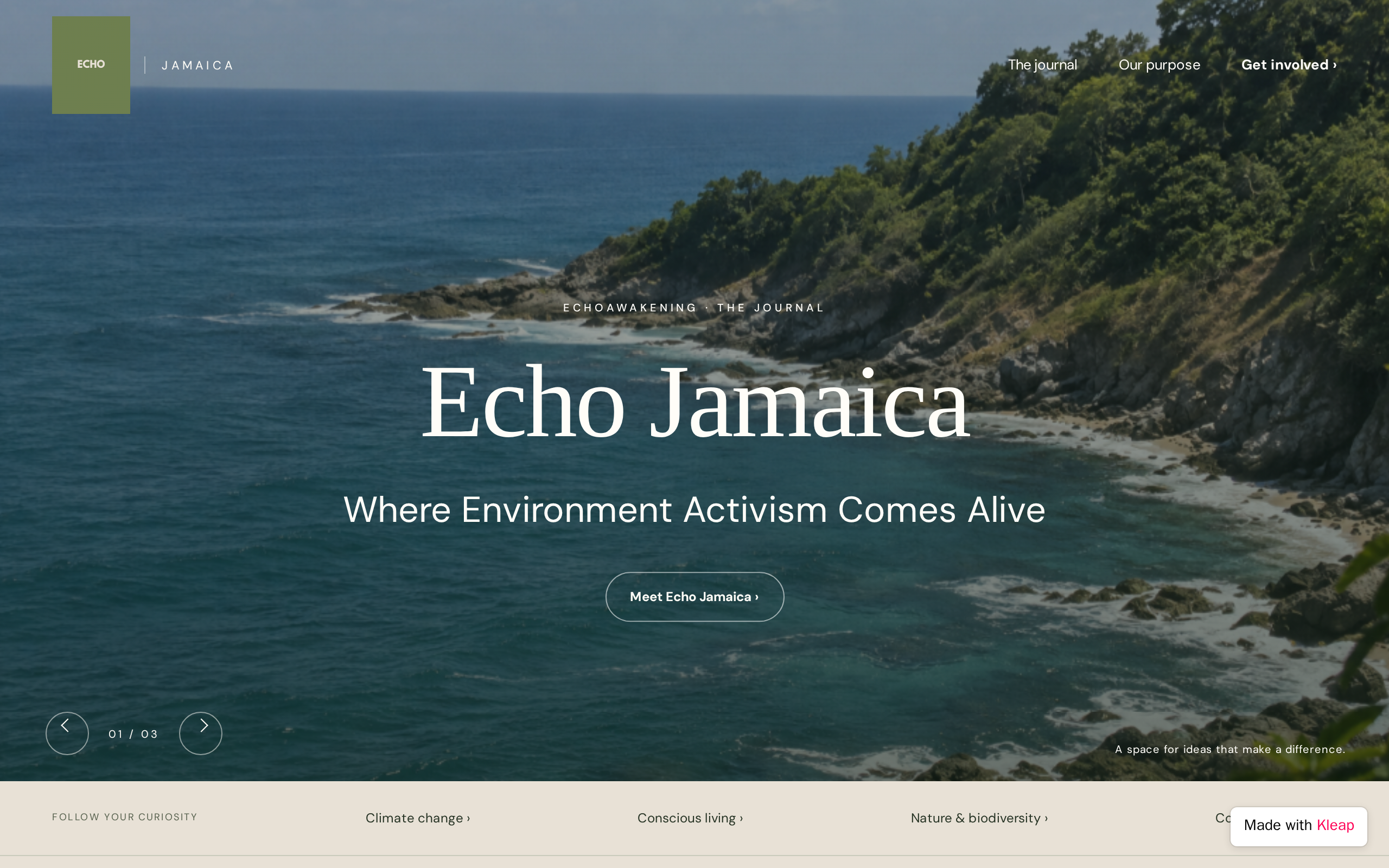 EchoJamaica website example
