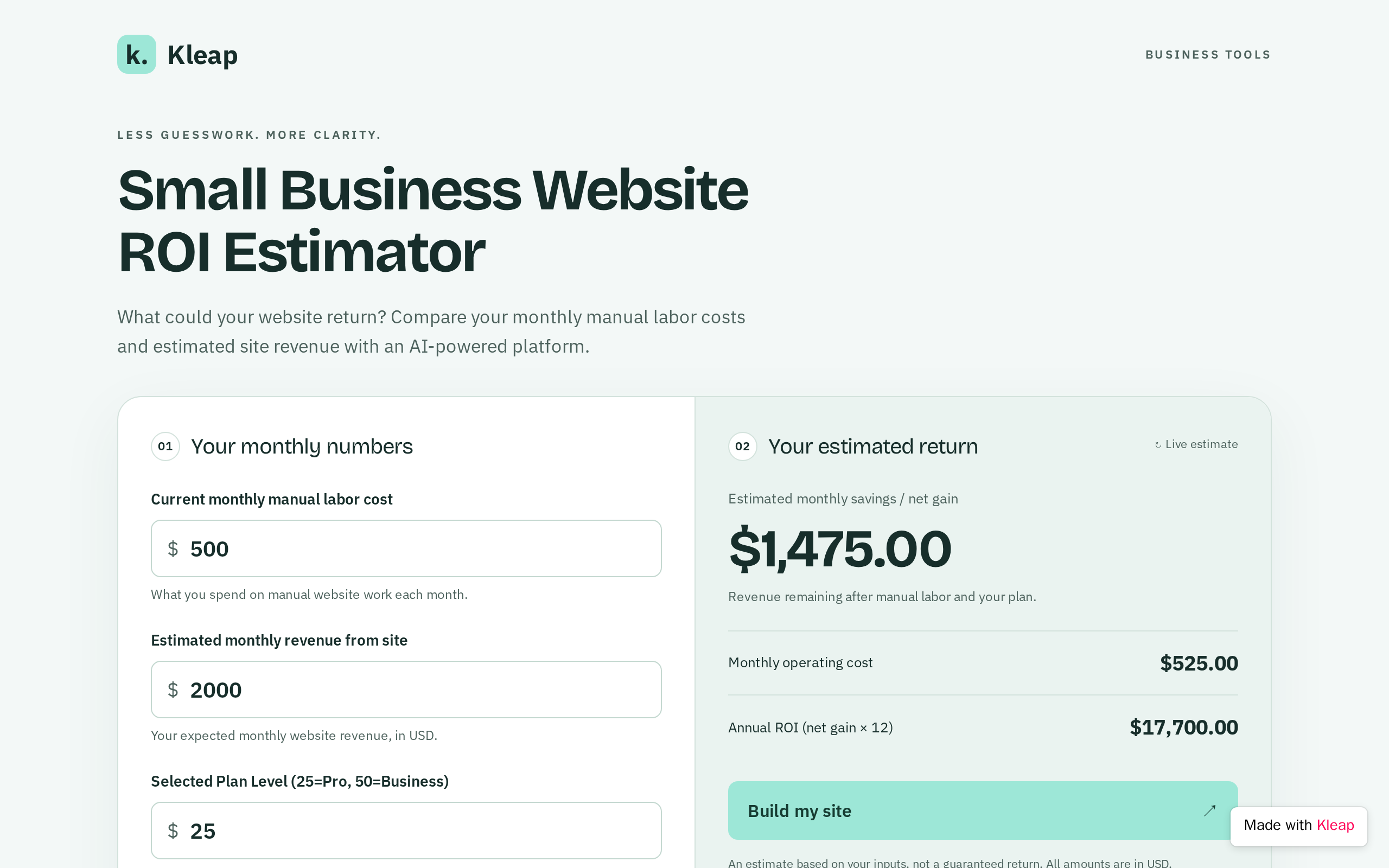 Kleap ROI website example