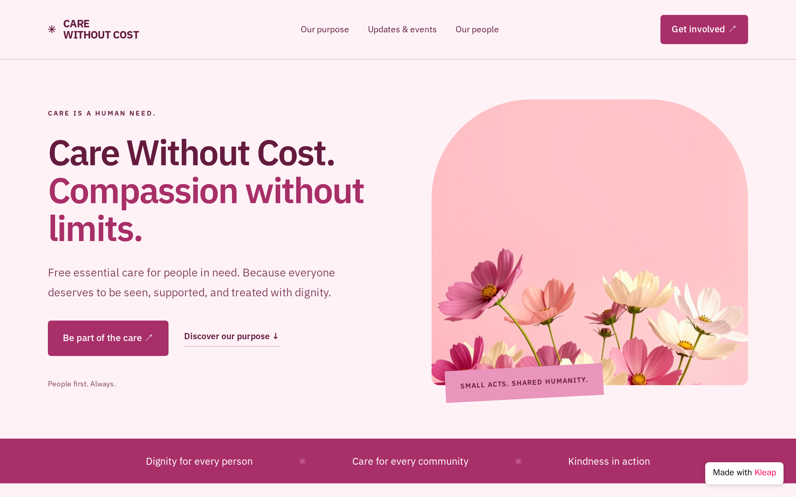Care Without Cost website example