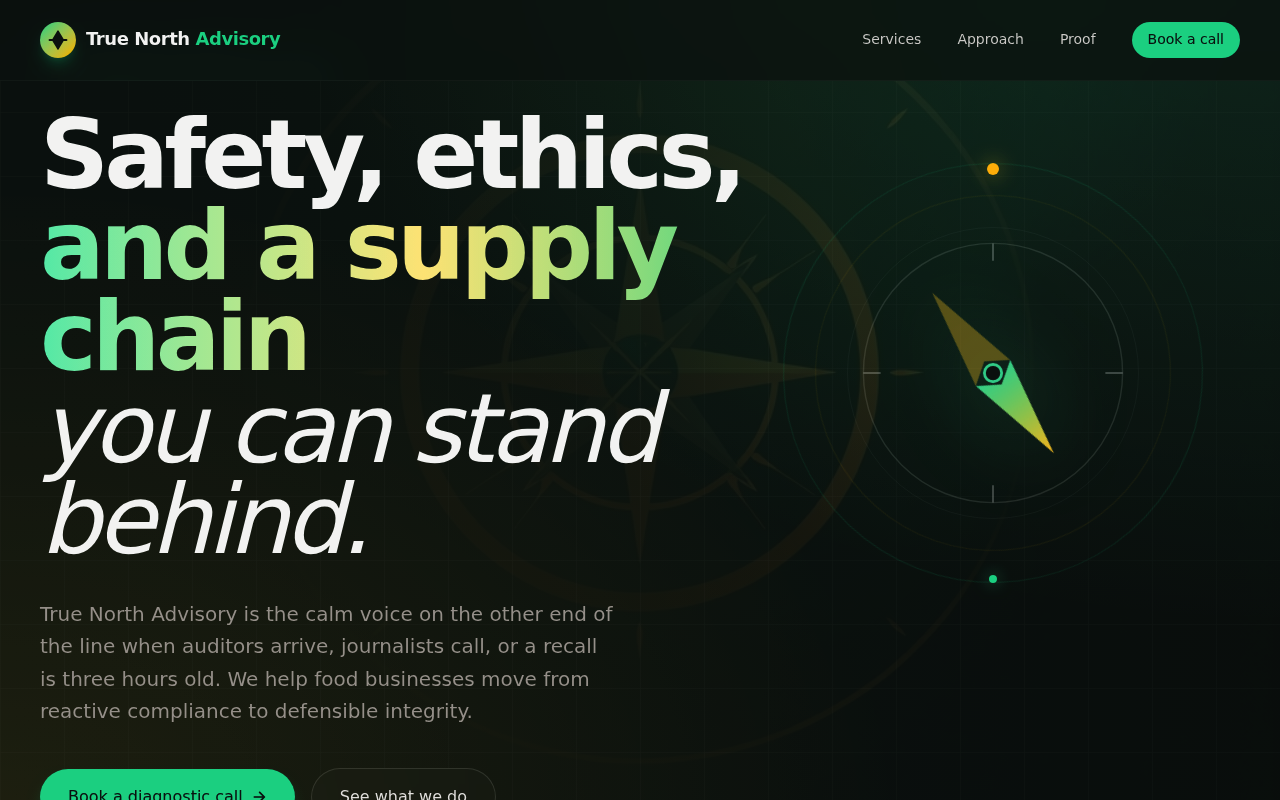 True North Advisory website example