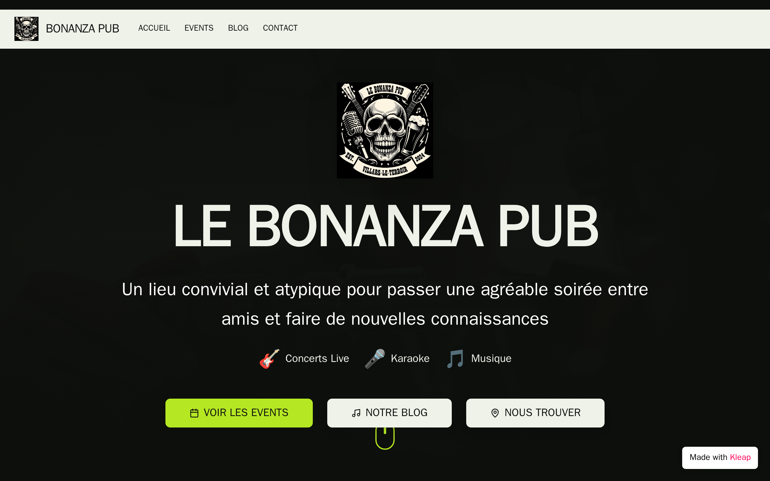 Bonanzapub.ch-Site-officiel website example