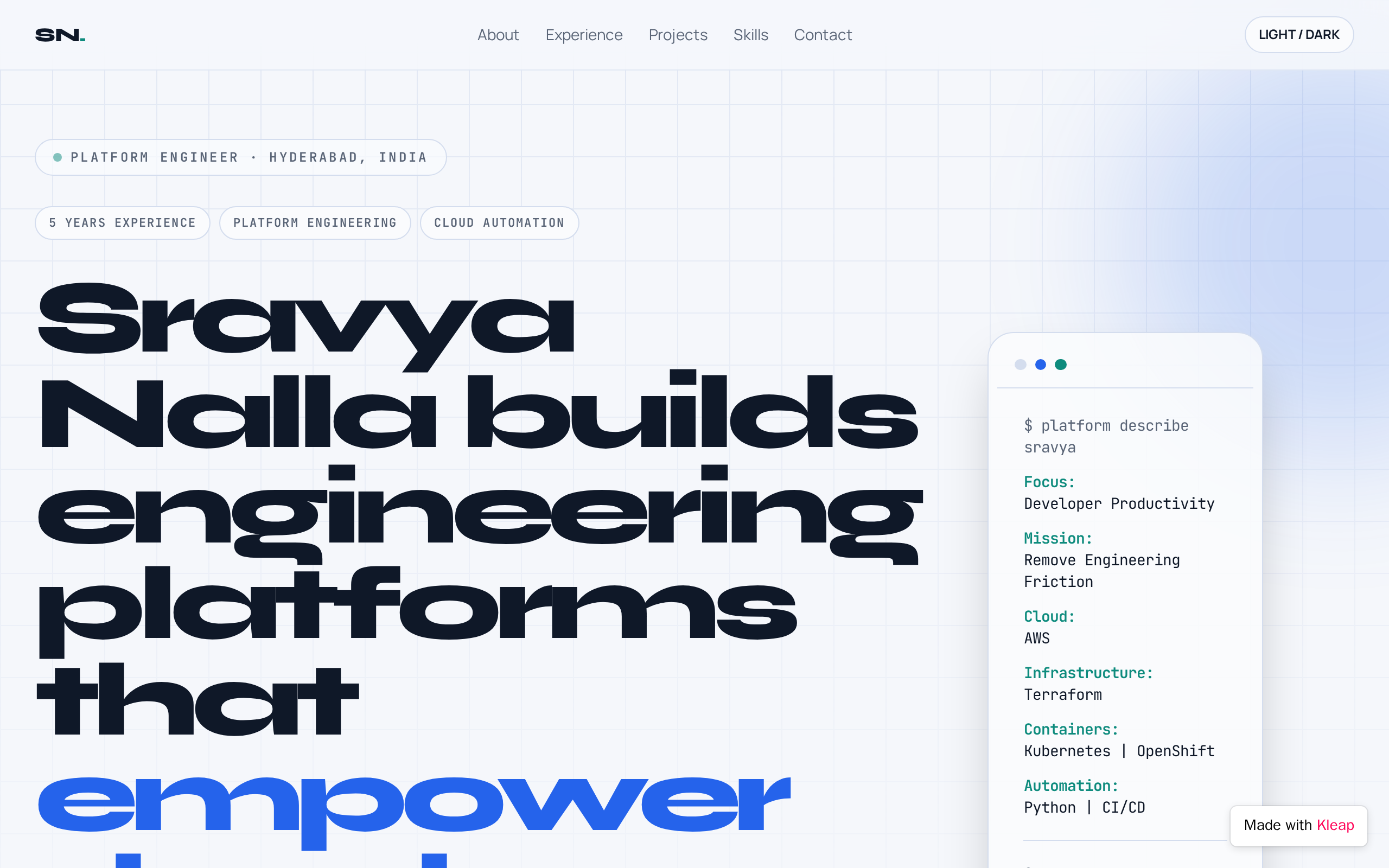 Platform Engineer website example