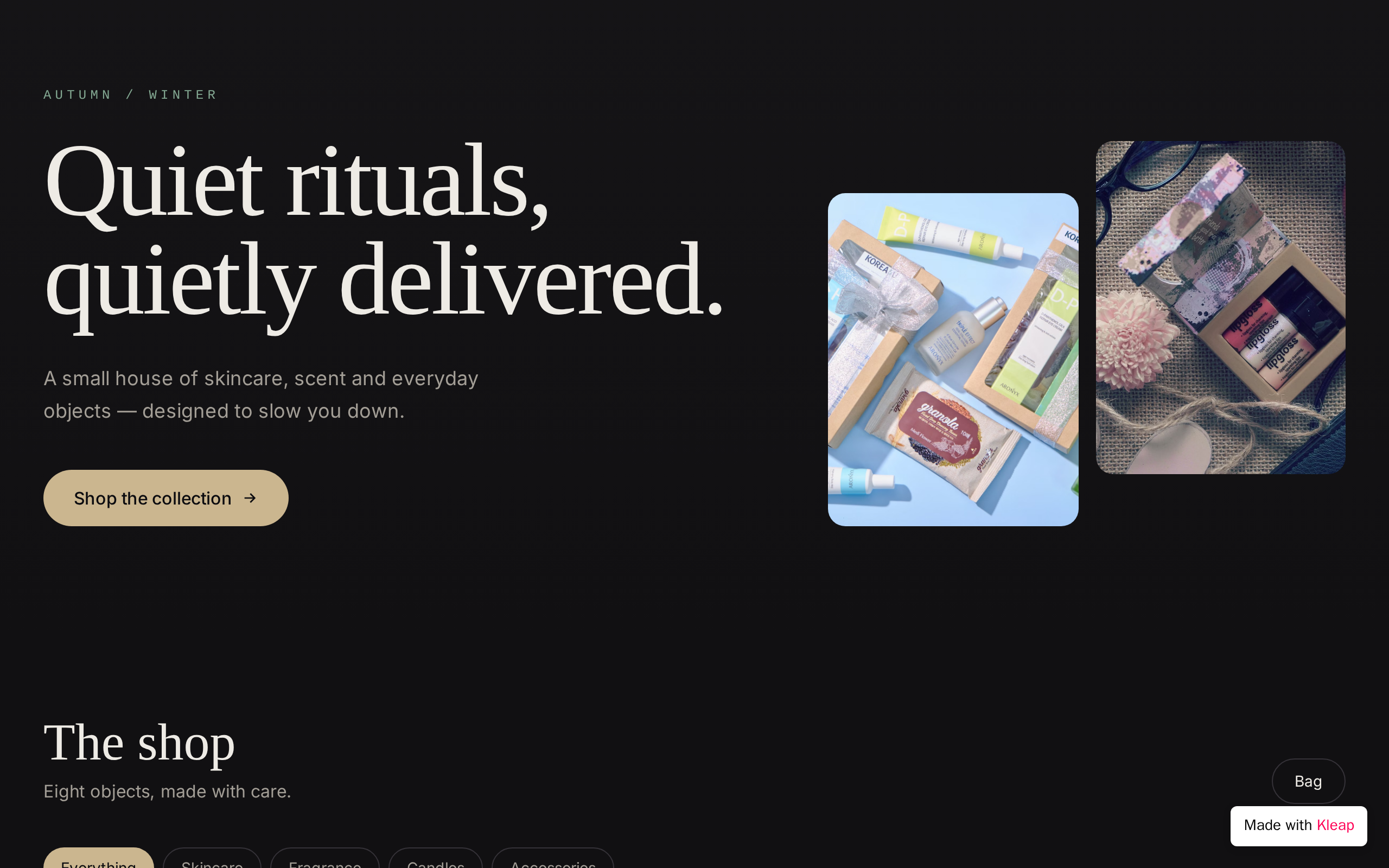 Shopify website example