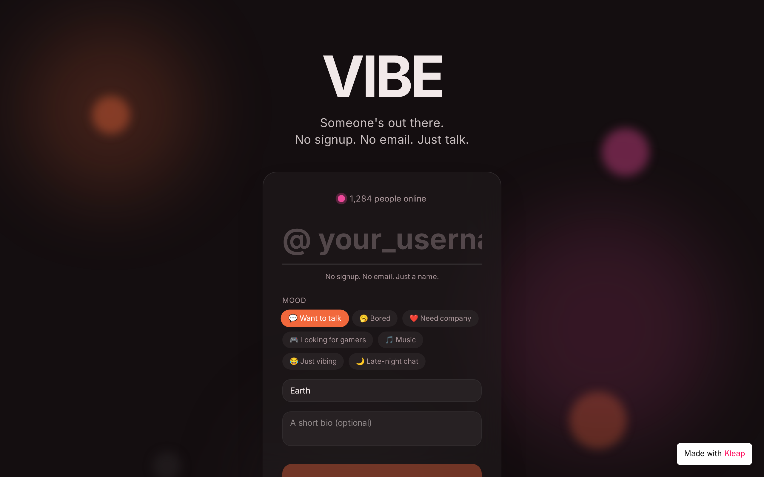 Vibe website example