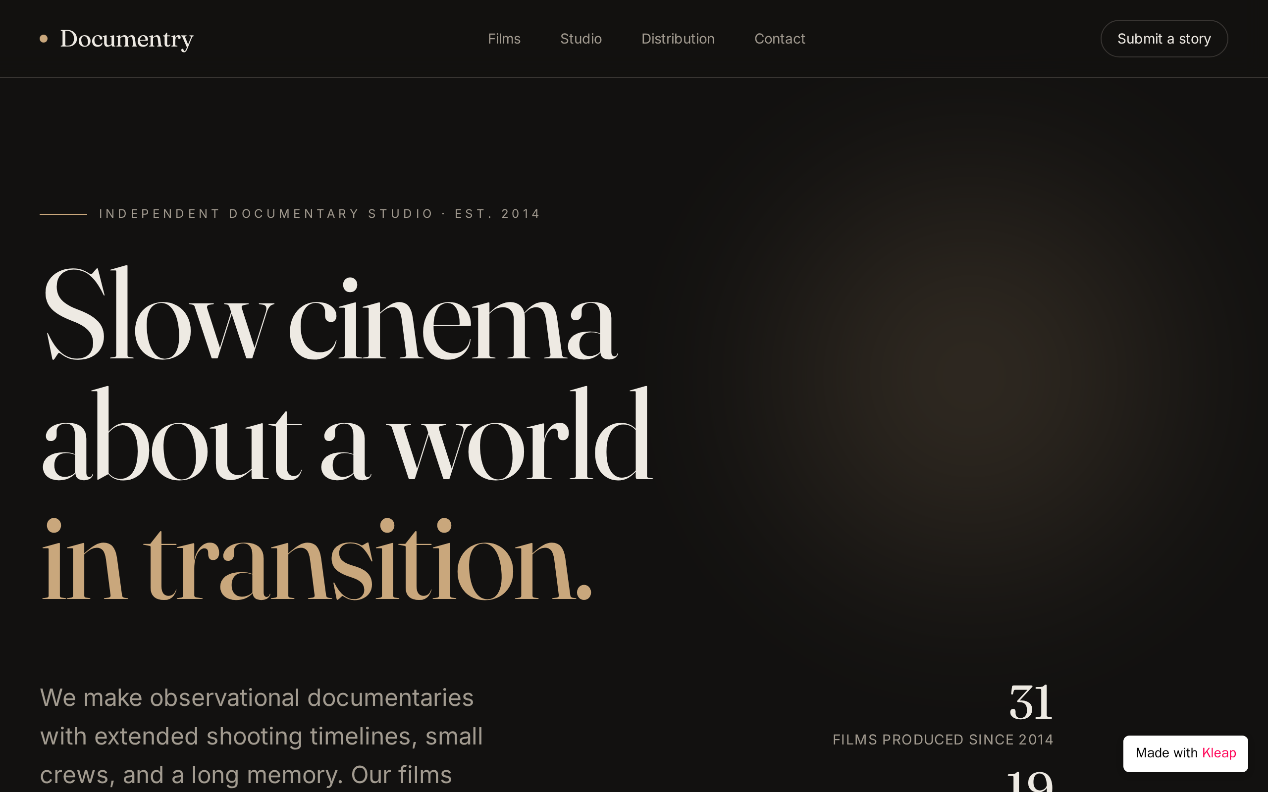 DocuStream website example