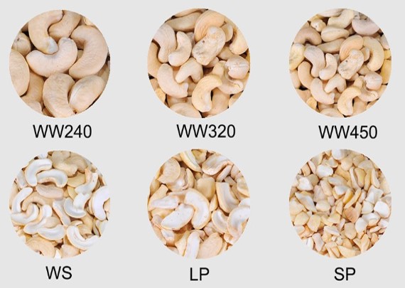 Cashew Nuts