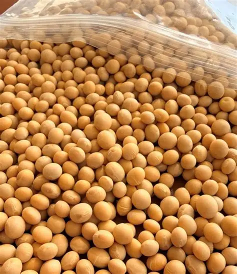 Soybeans