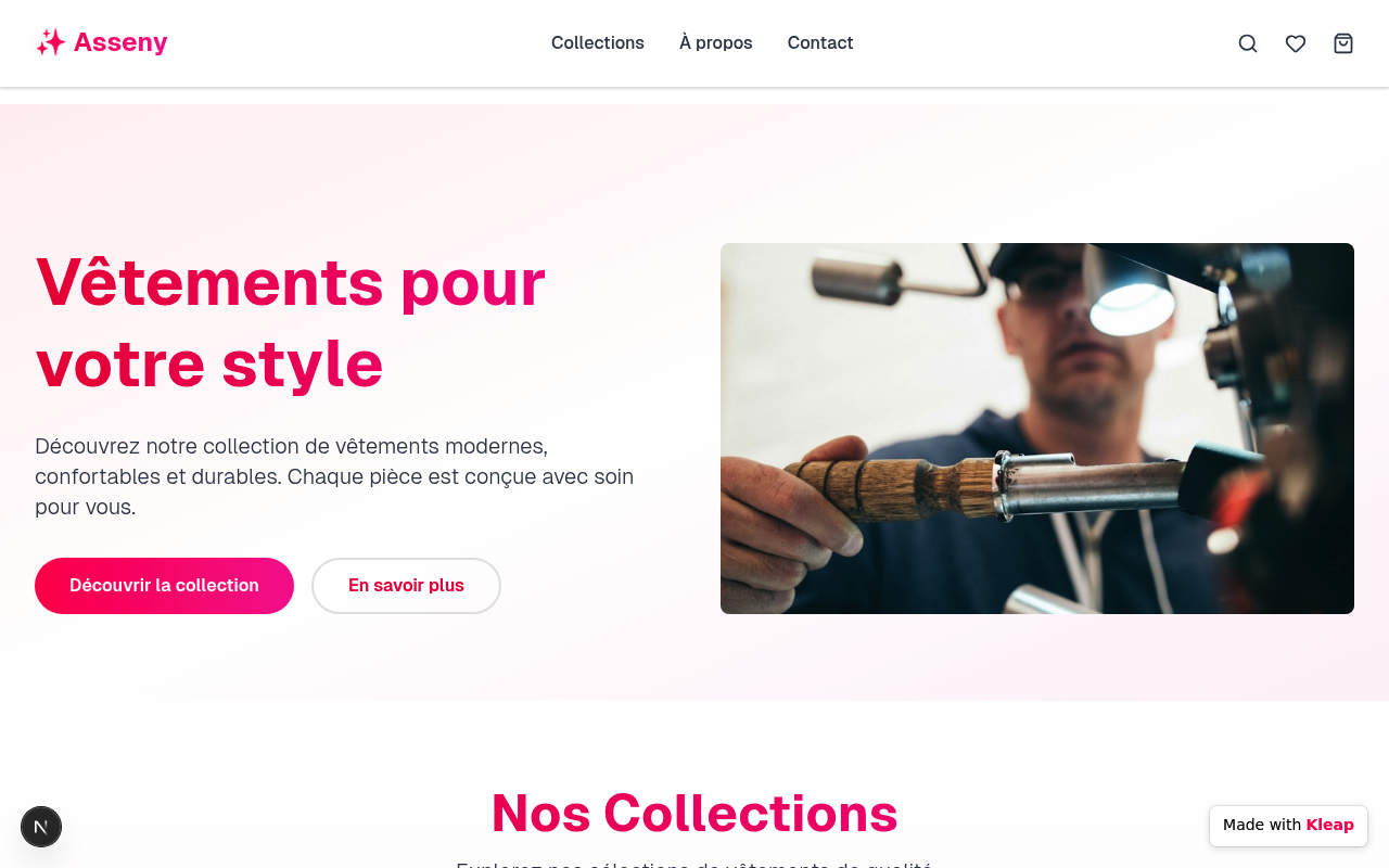 Asseny website example