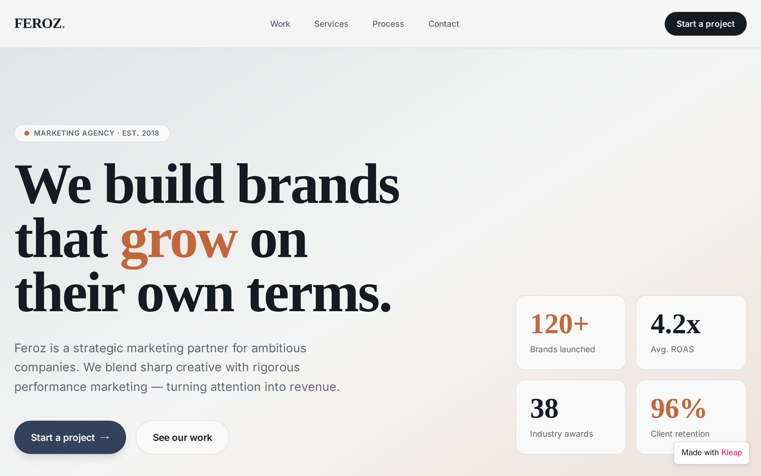 Feroz Marketing Agency website example