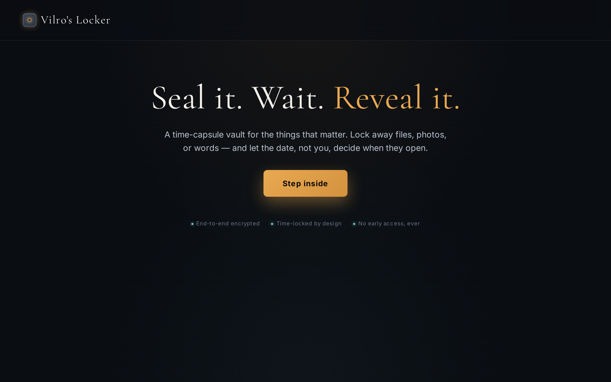 Vilro website example