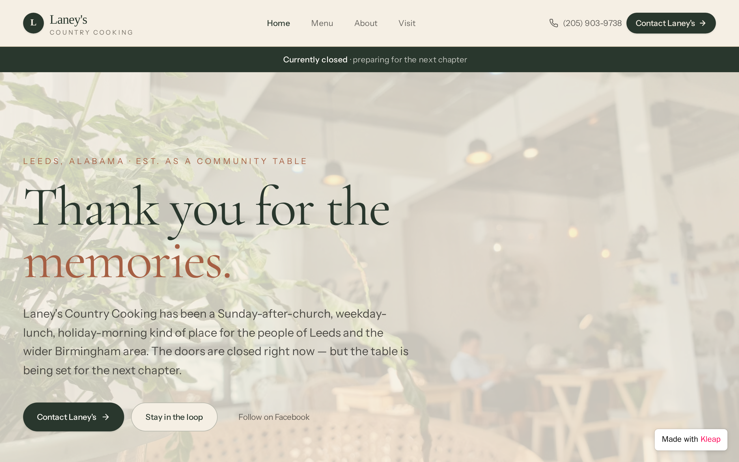 Laney's website example