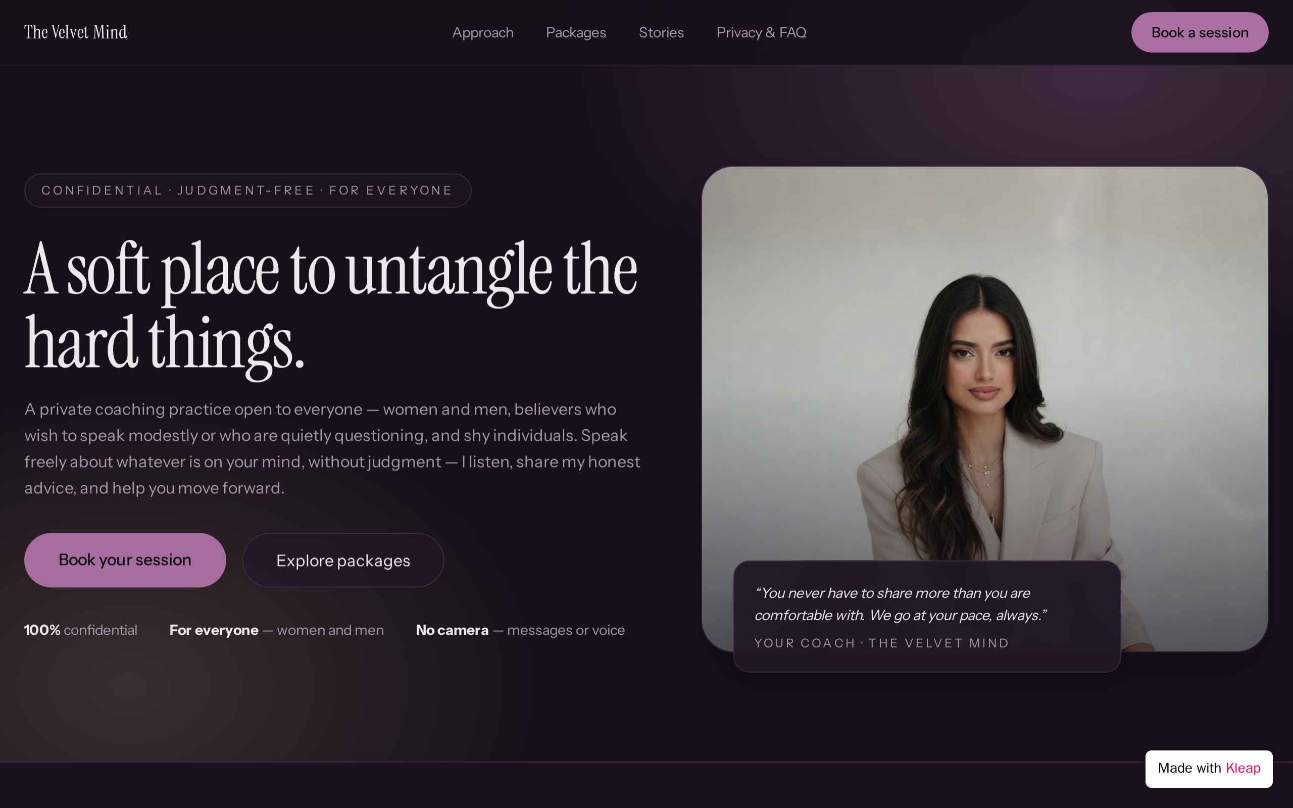 The Velvet Mind website example