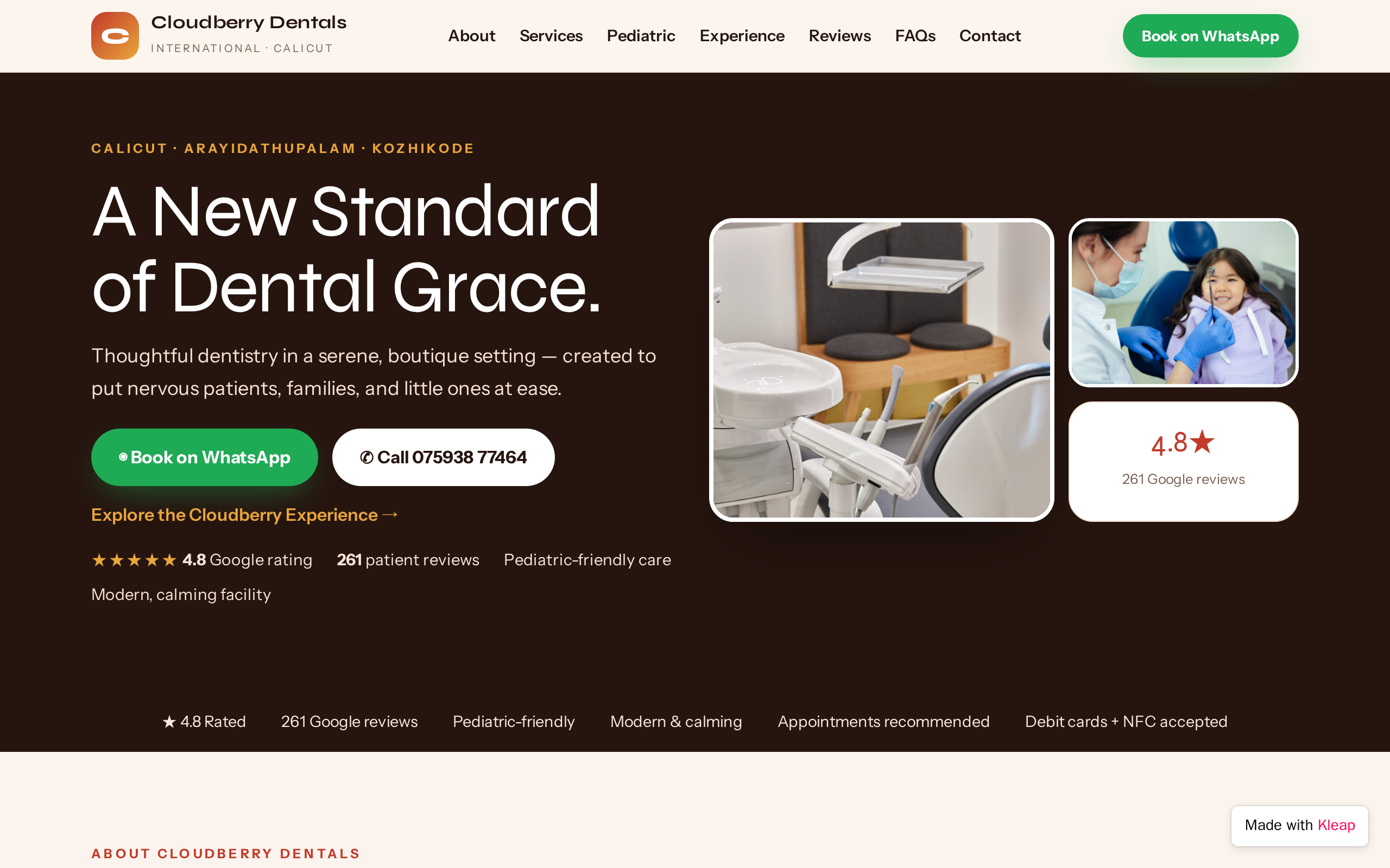 Cloudberry Dentals International website example