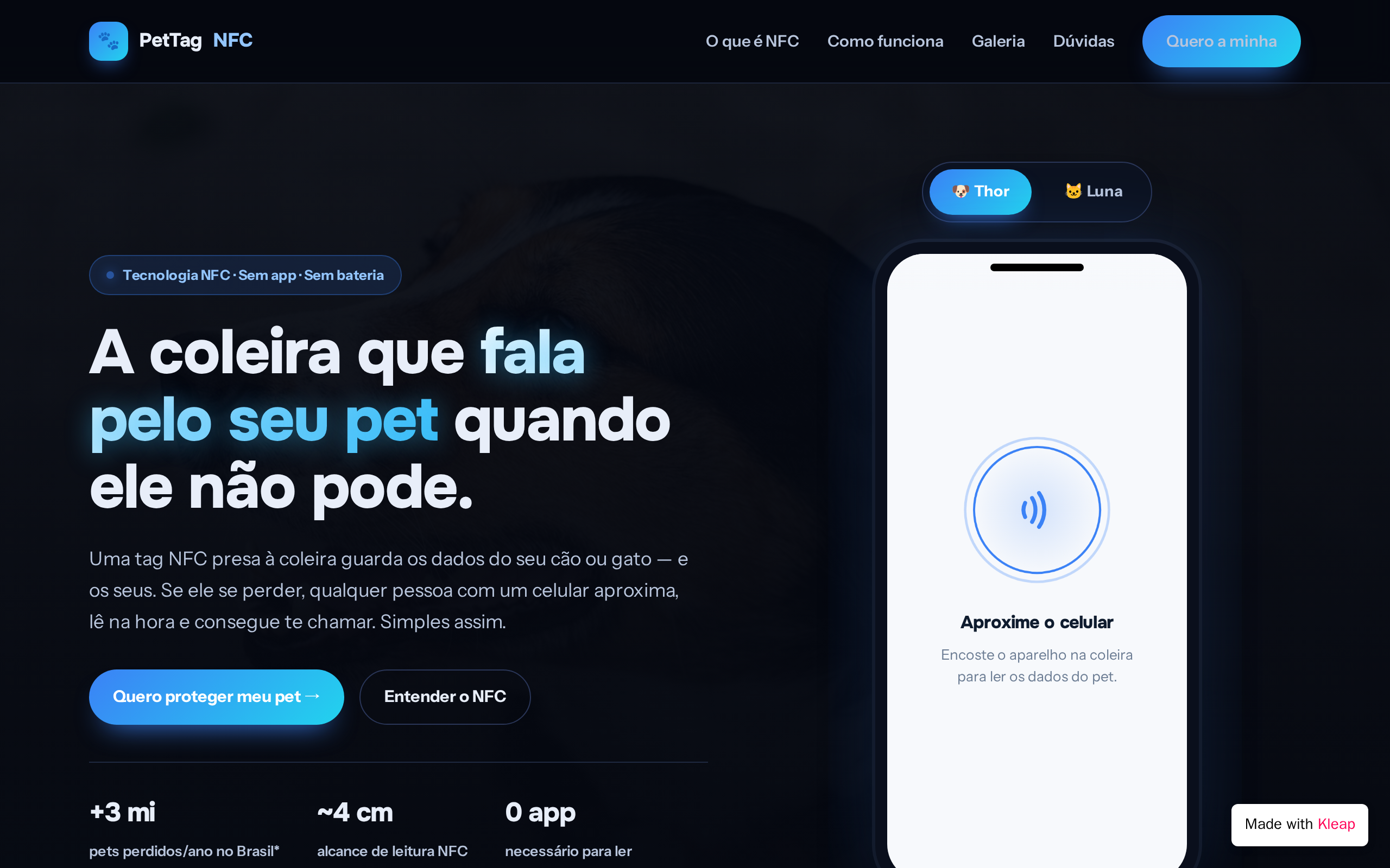 pt-BR website example