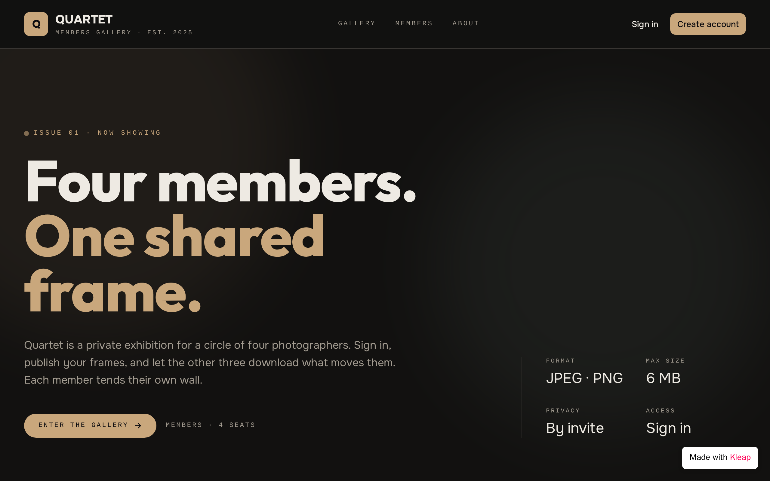 PhotoVault website example